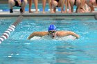 Swimming vs Bentley  Wheaton College Swimming vs Bentley. - Photo By: KEITH NORDSTROM : Wheaton, Swimming, Bentley